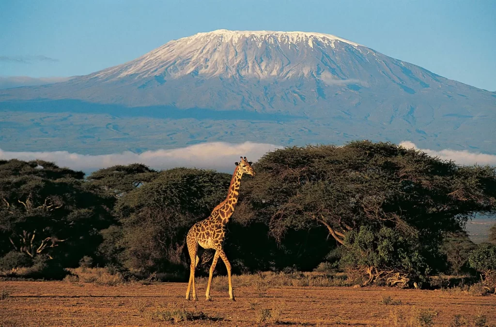 Mount Kilimanjaro Tanzania 1